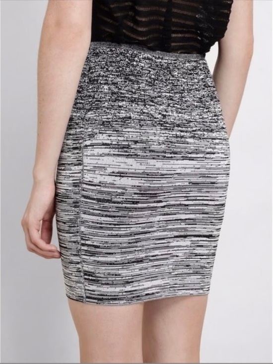 Alexander Wang Dresses & Skirts - Alexander Wang Degrade Pencil Skirt Bodycon Size Medium Office Cocktail Designer